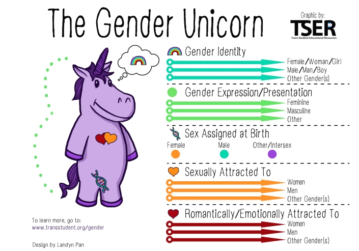 Gender Unicorn made an appearance in several workshops.